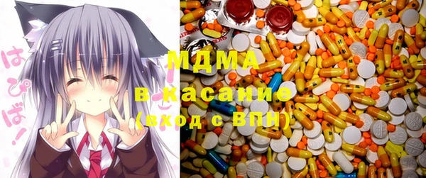 индика Бронницы