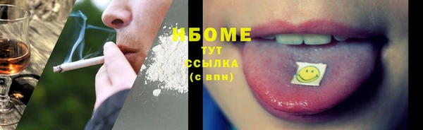 индика Бронницы