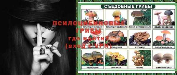 бутират Богданович