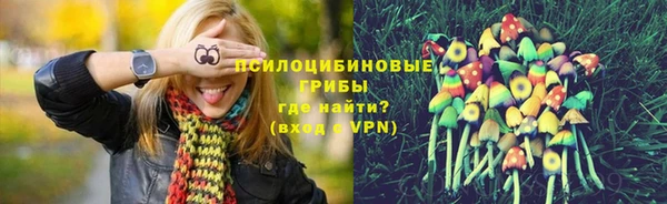 индика Бронницы