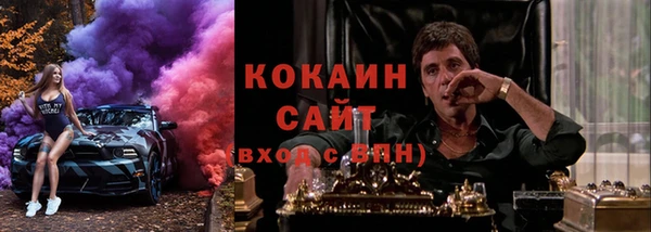 индика Бронницы