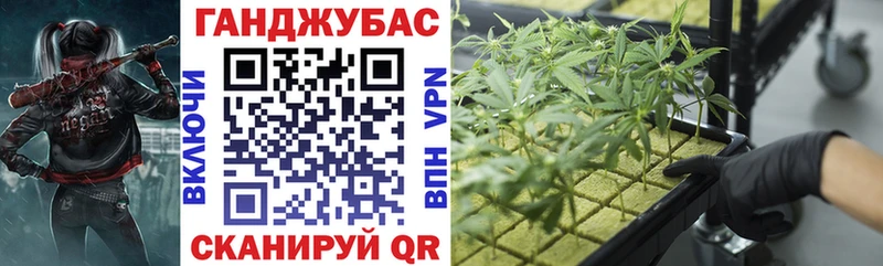 Бошки марихуана Amnesia  где можно купить наркотик  Первомайск 